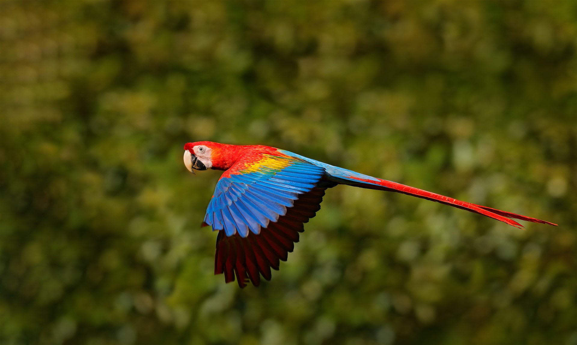Unmissable Costa Rica Trailfinders